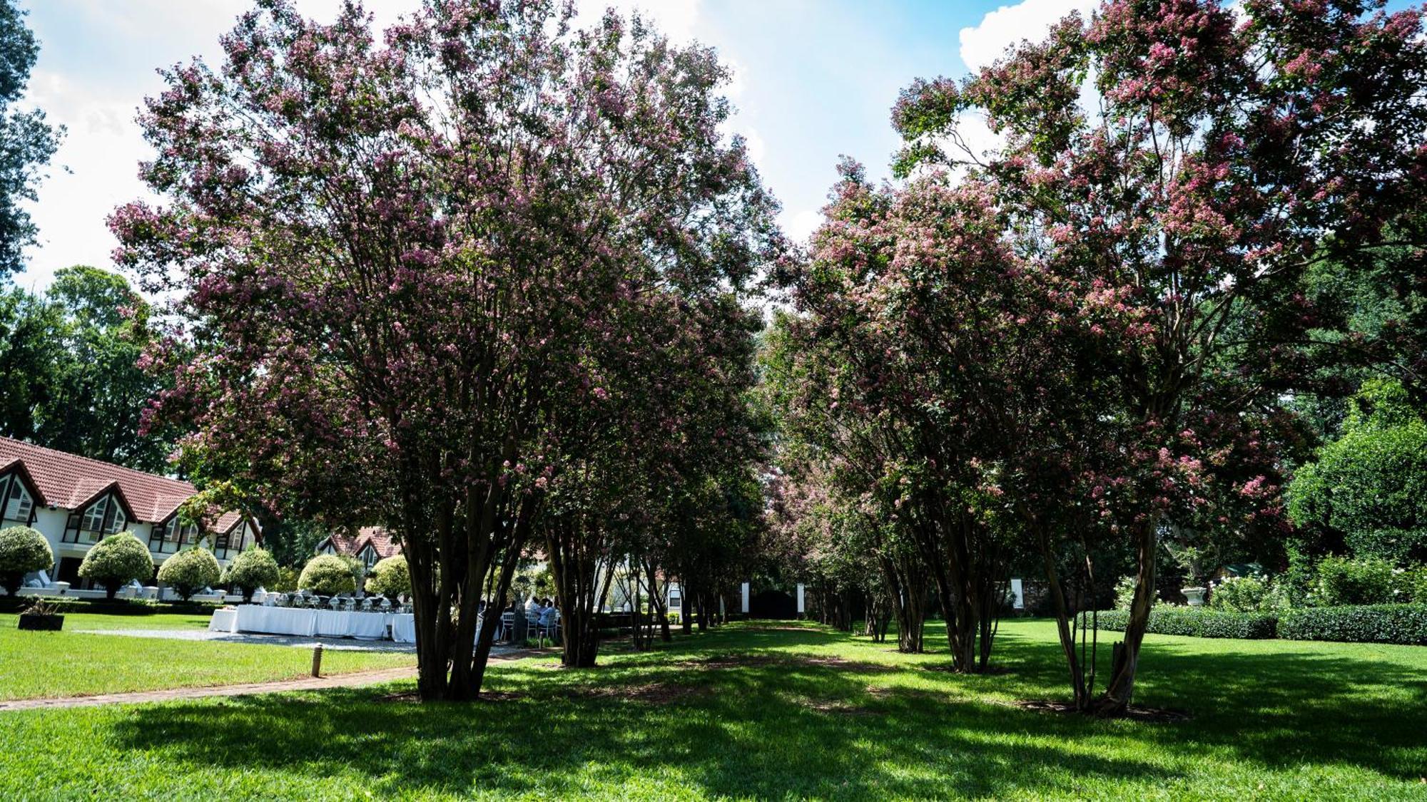 River Meadow Manor Центурион Екстериор снимка